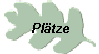Pltze