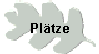 Pltze