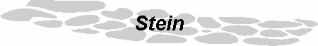 Stein