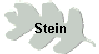 Stein