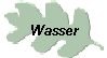 Wasser
