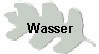 Wasser